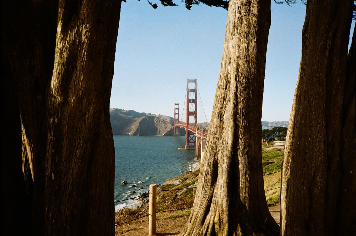 michaelboegl's tweet photo. California on 35mm film 🎞️ https://t.co/O2jvZNS8e6