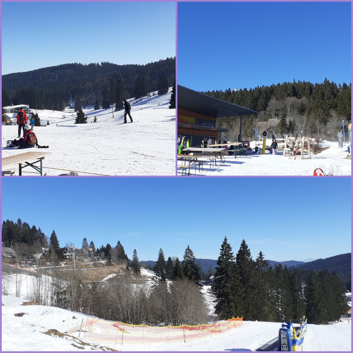 frauhasenklee's tweet image. Als Zuschauer ein bisschen in den vorfrühlingshaften #Skizirkus auf dem #Feldberg geschnuppert und ab heute wieder auf unserem Hof daheim.😊