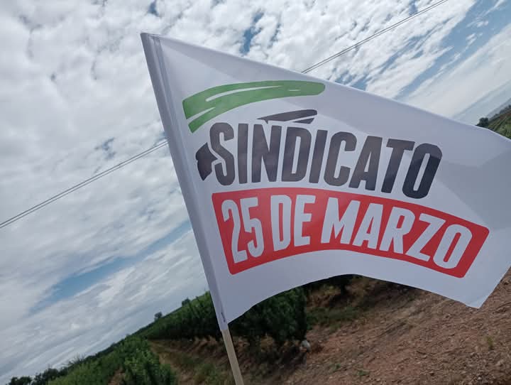 Sindicato25M's tweet image. Desde el @Sindicato25M valoramos positivamente la nueva subida del SMI en 1.184€/mes (en 14 pagas), pero nos oponemos frontalmente a la decisión “política” del PSOE de obligar a tributar a todas estas personas que perciben el SMI en base al concepto de IRPF.

¡Ni un paso atrás!