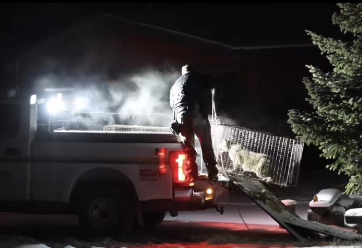 Bragg Creek-KCountry tweet media