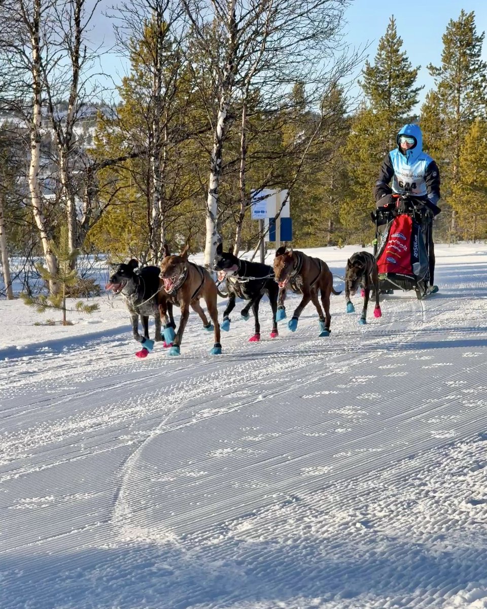 Deporte Castilla y León tweet media