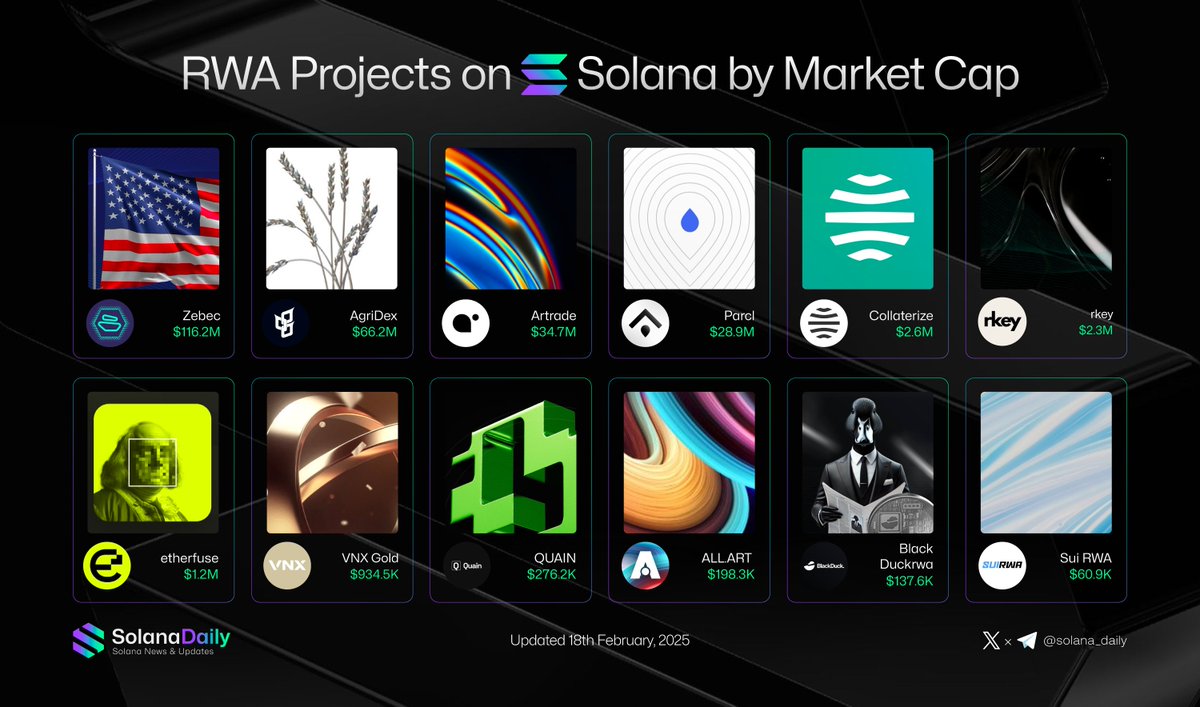 🌐 RWA Projects on Solana by Market Cap🏛️  

Tokenizing real-world assets (RWA) is becoming a hot narrative in crypto, and Solana is emerging as a key player with its speed, low fees &amp; growing ecosystem.  

📸 Highlighted Projects:

<a href="/Zebec_HQ/">Zebec Network</a>
<a href="/AgriDexPlatform/">AgriDex</a>
<a href="/ArtradeApp/">Artrade</a>
<a href="/Parcl/">Parcl</a>
