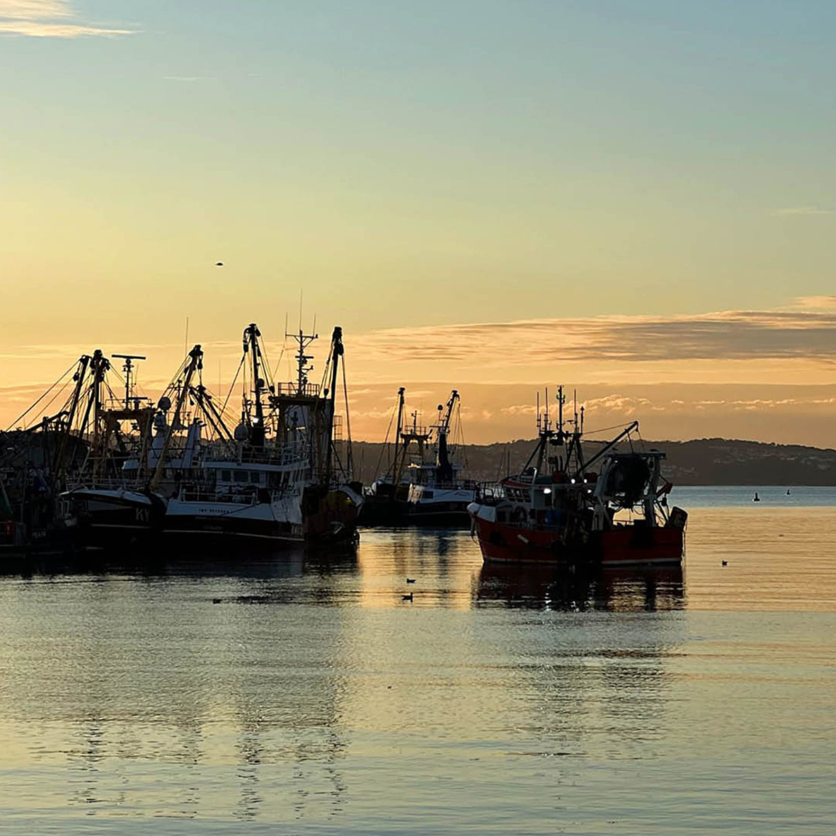 Direct Seafoods tweet media