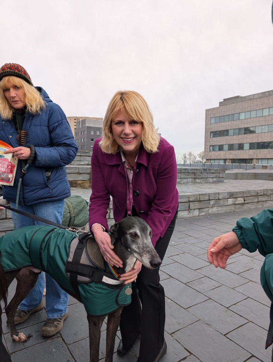 CarolynThomasNW's tweet photo. I'm absolutely over the moon that the Welsh Government has announced today that greyhound racing will be banned as soon as practically possible.

Years of hard work &amp; campaigning from charities, animal welfare organisations, campaigners, and backbench politicians has paid off! 🥳 https://t.co/JpU3Nv27GL