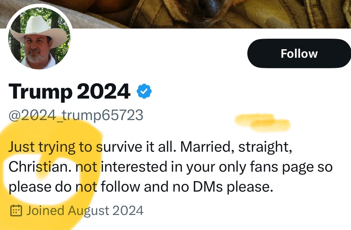 Ofdave #nochoice #voteblue tweet media