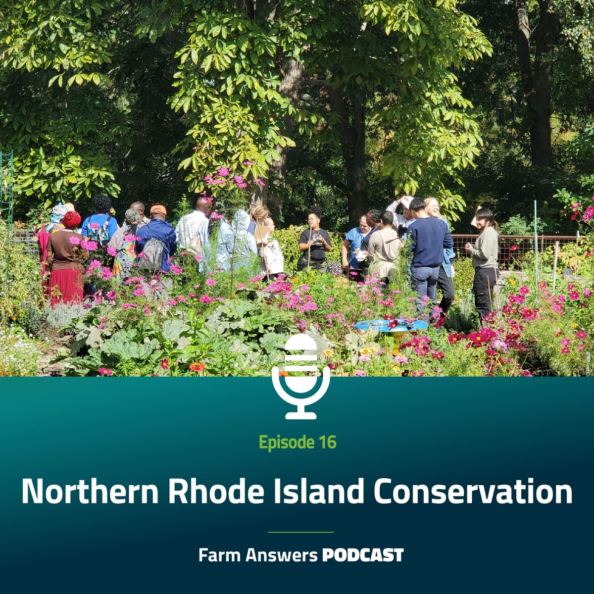 FarmAnswers's tweet image. Check out the newest episode of the Farm Answers podcast where we chat with Molly Allard and Gennifer Keller of the Northern Rhode Island Conservation District to learn more about their Urban Growers Leadership program.

farmanswers.captivate.fm