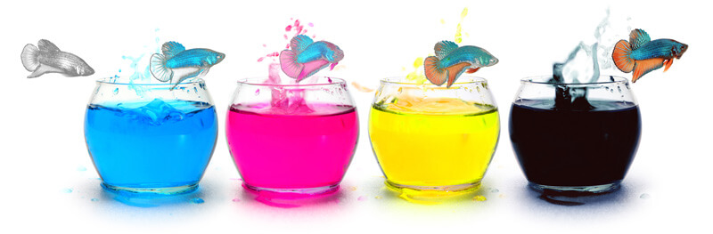 Is your printer using a process that ensures quality and color consistency while keeping your project on budget? Two methods that portray a gamut of colors are 4-color and spot color printing.🌈✨
Learn more: prestolabels.com/4-color-proces…

#printing #labels