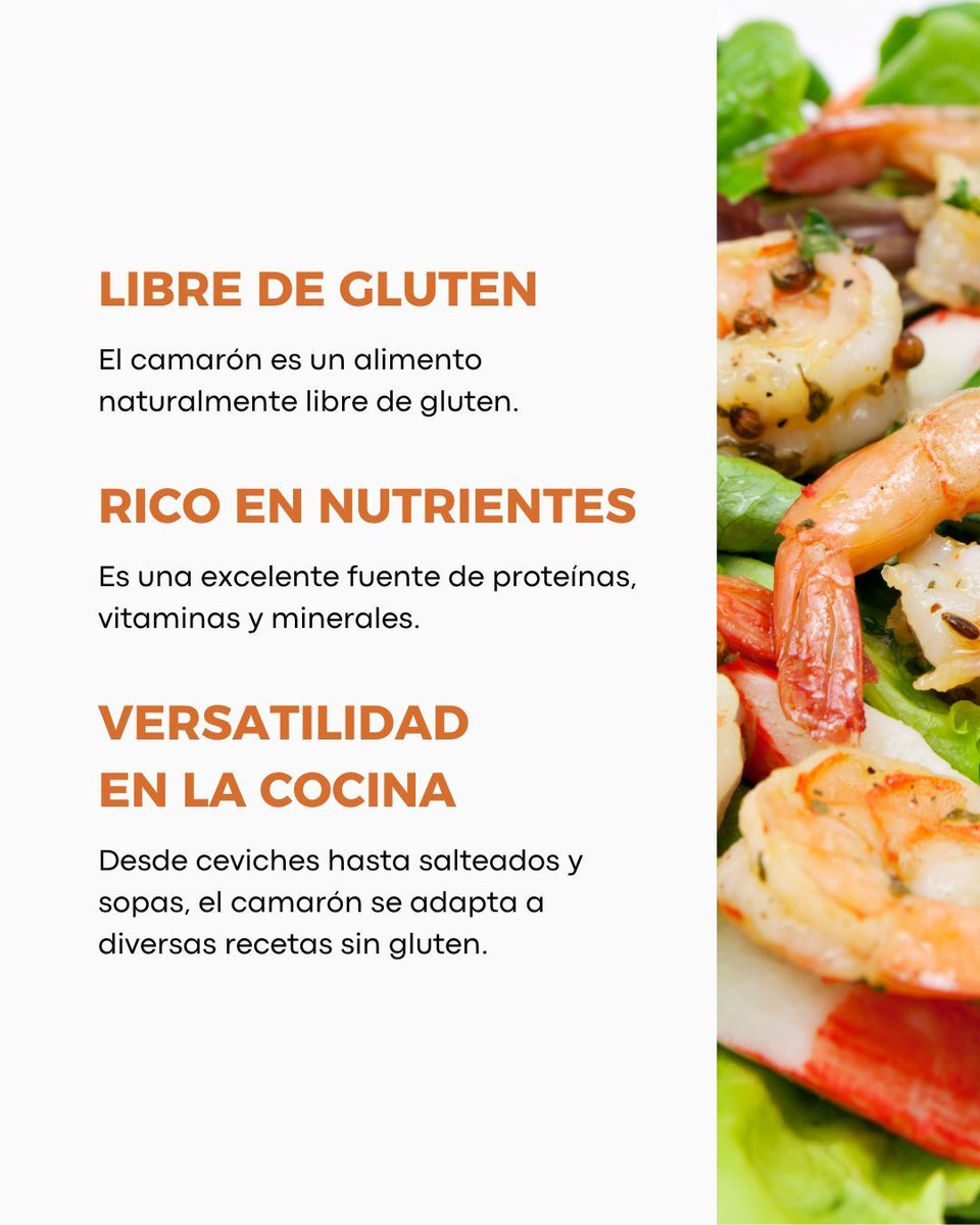 🦐🍽️ ¡El camarón es la opción ideal para quienes siguen una dieta celiaca! Naturalmente libre de gluten, rico en nutrientes y versátil en la cocina, este marisco puede ser parte esencial de una alimentación deliciosa y nutritiva. 

#ElMejorCamarónDelMundo
