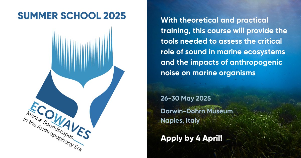 🌊 ECOWAVES Summer School 2025 🌊

Marine Soundscapes in the Anthropophony Era 🌊 🔊 🥼

The course will equip participants with the skills to assess the role of sound &amp; the impacts of anthropogenic noise on marine organisms 🐋🐬🐠🐚

📢 APPLY by 4 APRIL aquaplan-project.eu/ecowaves-summe…