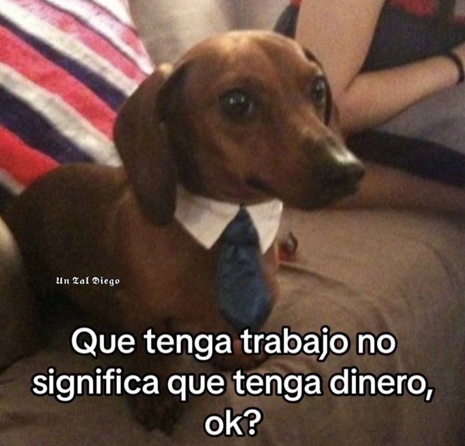 Natalia Burgos (@nataburgos41) on Twitter photo 