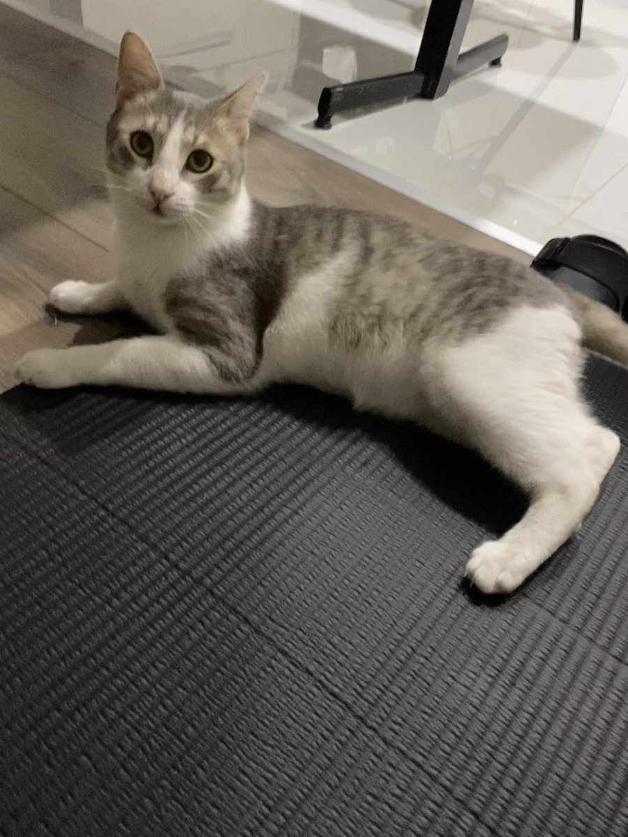 En sefdim yuga hareketi