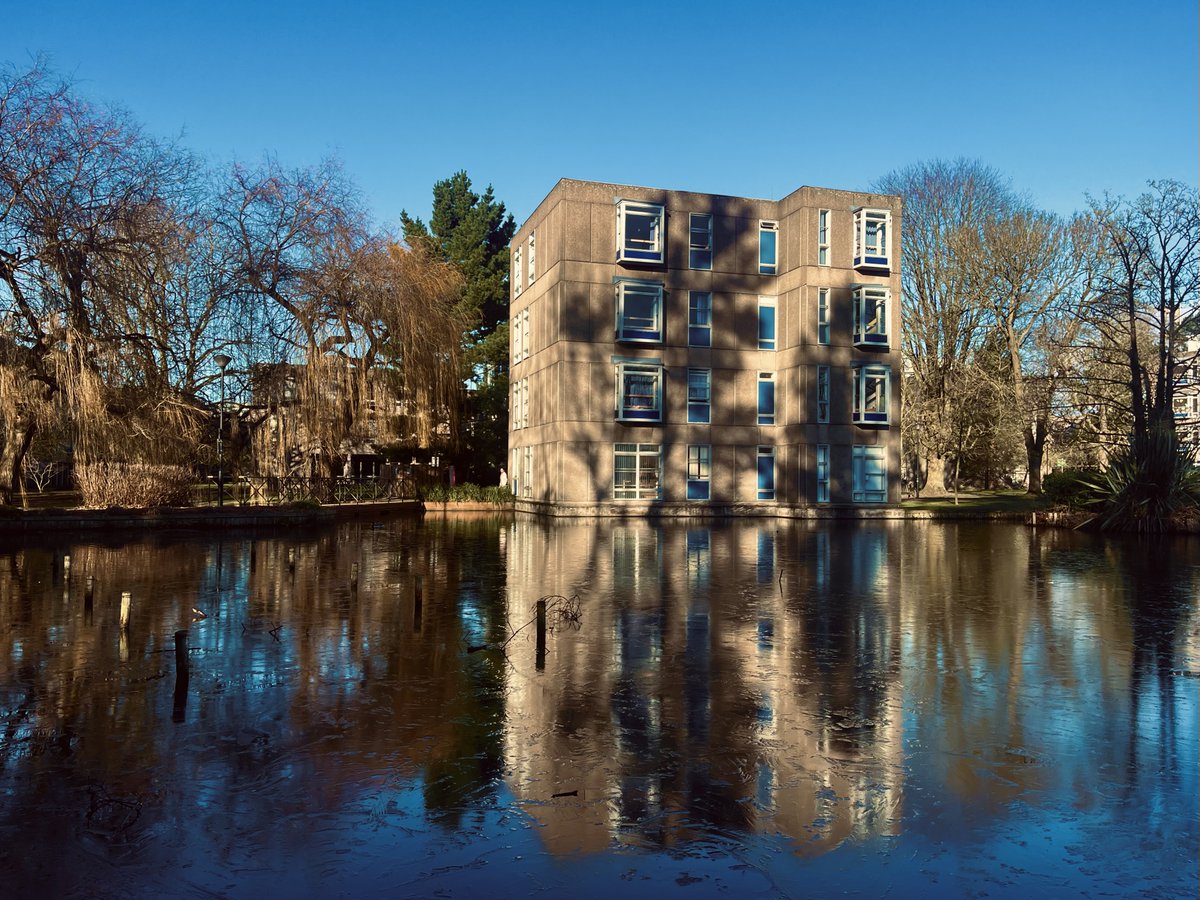 York for Life tweet media