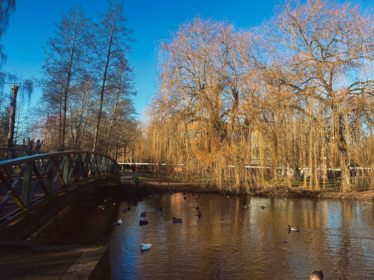 Campus West appreciation post 👀

It's been a wee while since we've posted photos of our beautiful campus, so we thought we'd round up our favourite snaps of campus glowing in the winter sun🌞