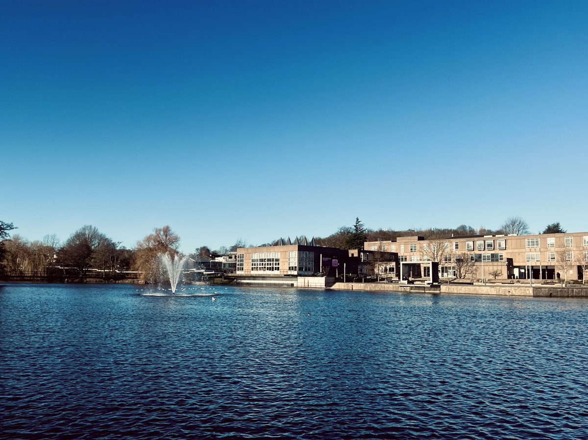 York for Life tweet media