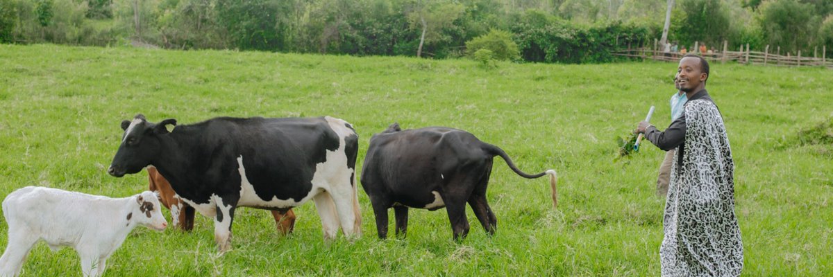 JSauveurChris's tweet image. Niba ukunda #Inka accept my challenge 

1️⃣Quote this (N’Ifoto yawe mu rwuri cg uri kumwe na zo)

2️⃣Ntabe Ari wowe uzabura mu Gitaramo #InkaConcert  Ku wa 15/03/2025 muri Camp Kigali dutaramirwa n’ @InyamibwaRwanda 

🐄🎵Ayiiyee Kunda Inka wee🎵🐄
#InkaConcert