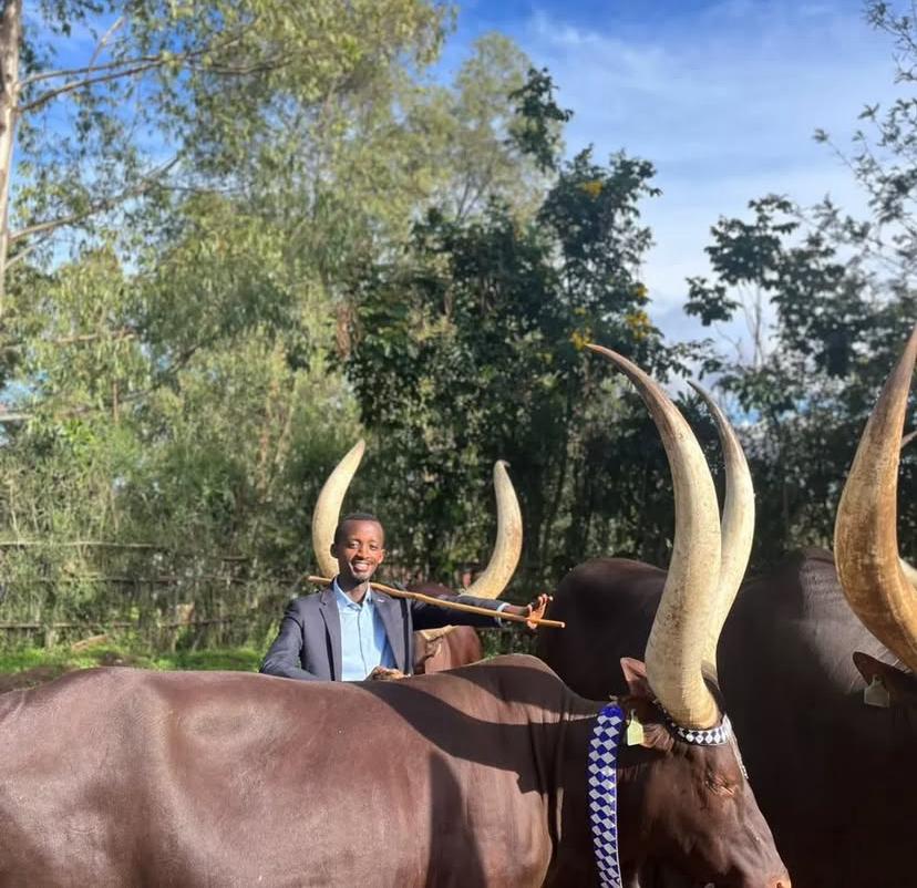 JSauveurChris's tweet image. Niba ukunda #Inka accept my challenge 

1️⃣Quote this (N’Ifoto yawe mu rwuri cg uri kumwe na zo)

2️⃣Ntabe Ari wowe uzabura mu Gitaramo #InkaConcert  Ku wa 15/03/2025 muri Camp Kigali dutaramirwa n’ @InyamibwaRwanda 

🐄🎵Ayiiyee Kunda Inka wee🎵🐄
#InkaConcert