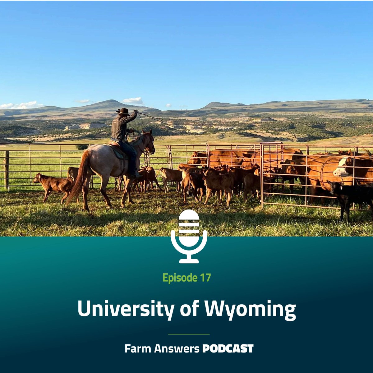 FarmAnswers's tweet image. Tune in to the newest episode of the Farm Answers podcast where we sit down with John Hewlett of the University of Wyoming to learn more about their beginning farmer programming.

farmanswers.captivate.fm
@growingwyintrns