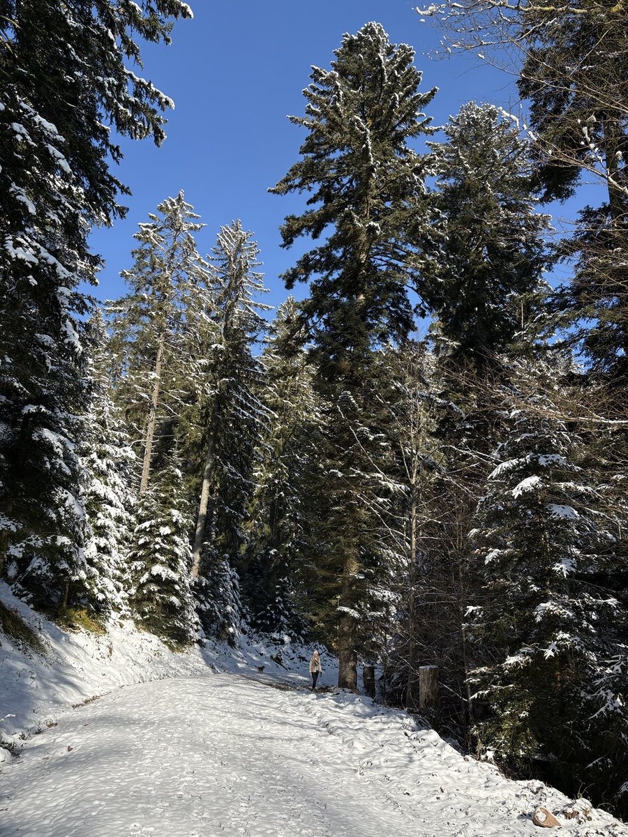 ALASTAIR CAMPBELL tweet media