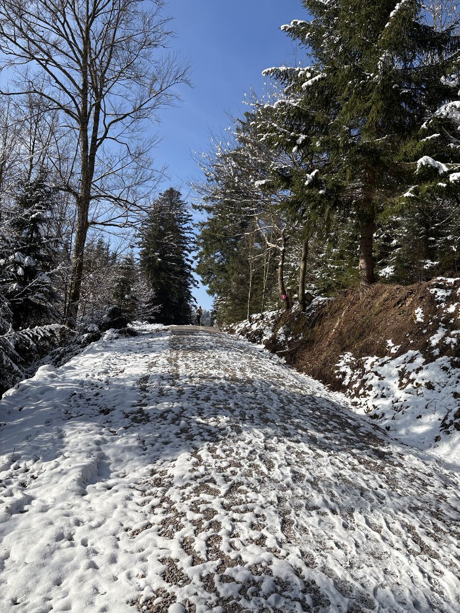 ALASTAIR CAMPBELL tweet media