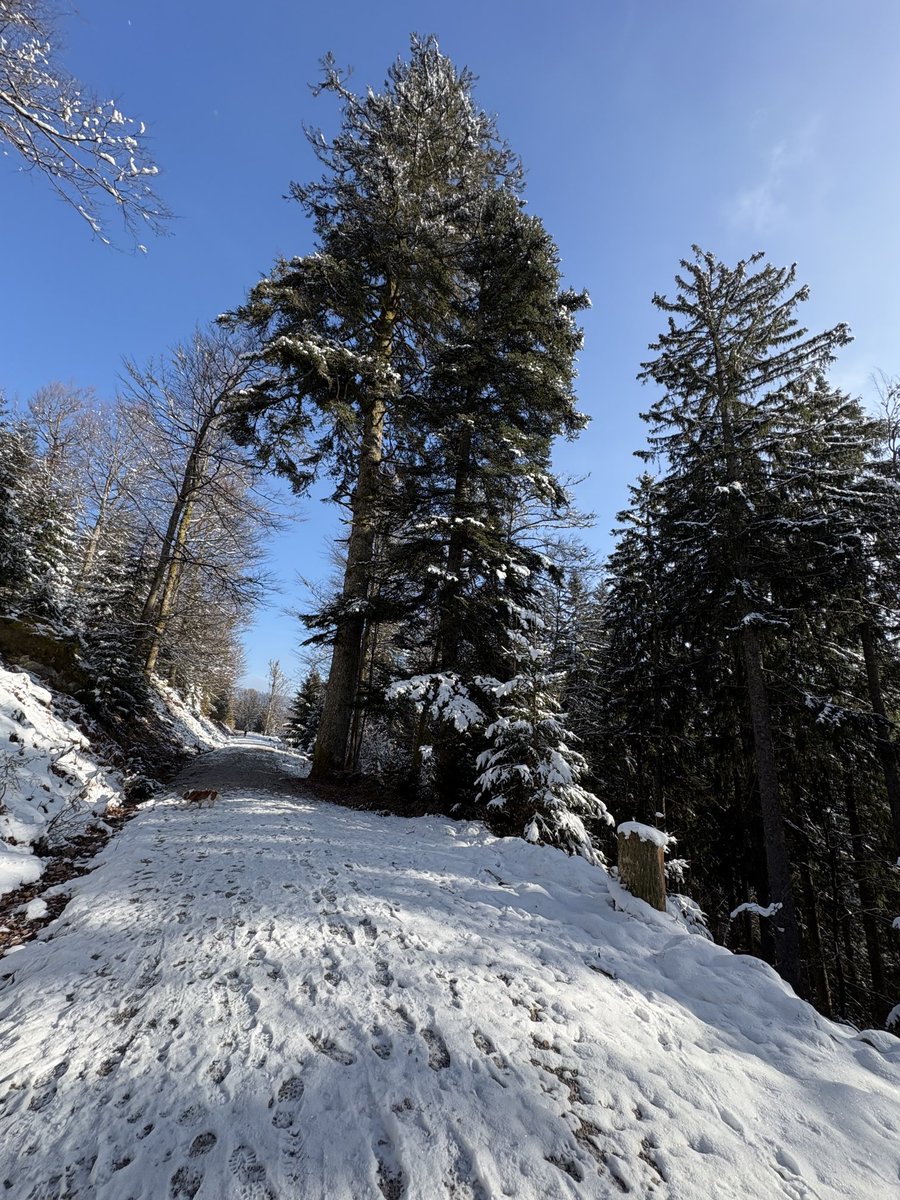 ALASTAIR CAMPBELL tweet media