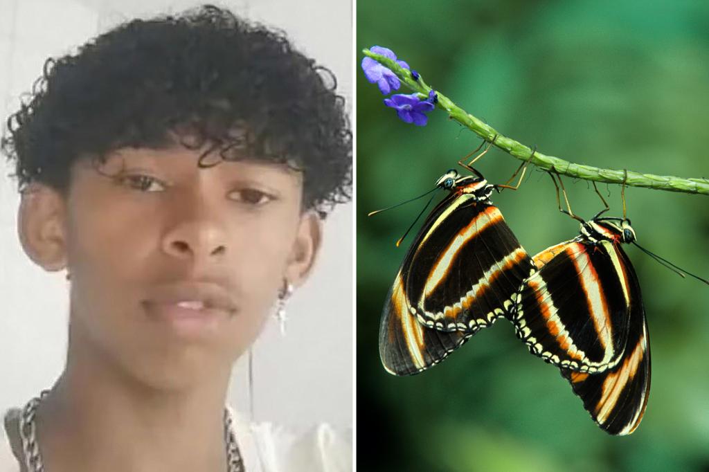 nypost's tweet photo. Teen dies after injecting himself with butterfly remains —possibly in a twisted online challenge: report https://t.co/ff0Iido3Wu https://t.co/x7qx5MW698