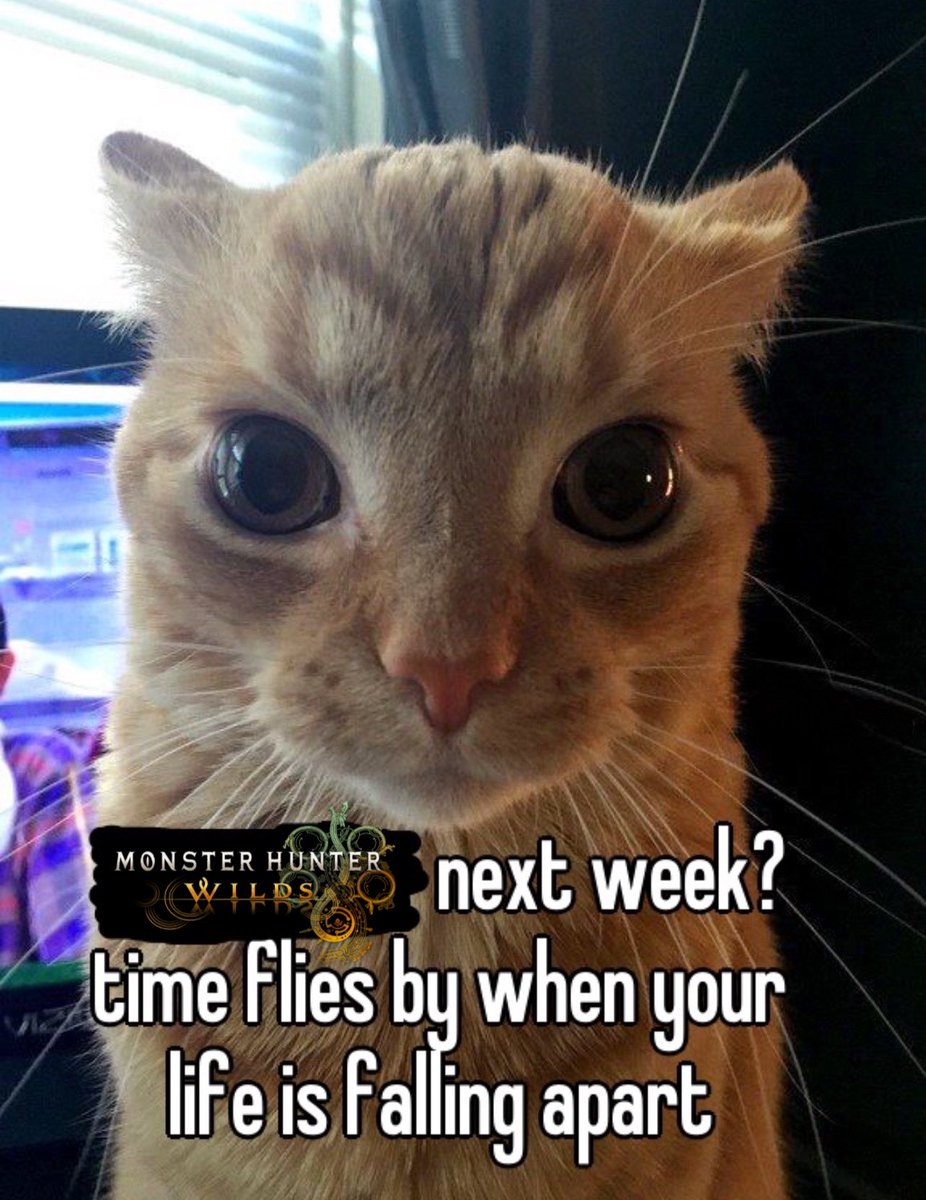 Monster Hunter Jhokes tweet media