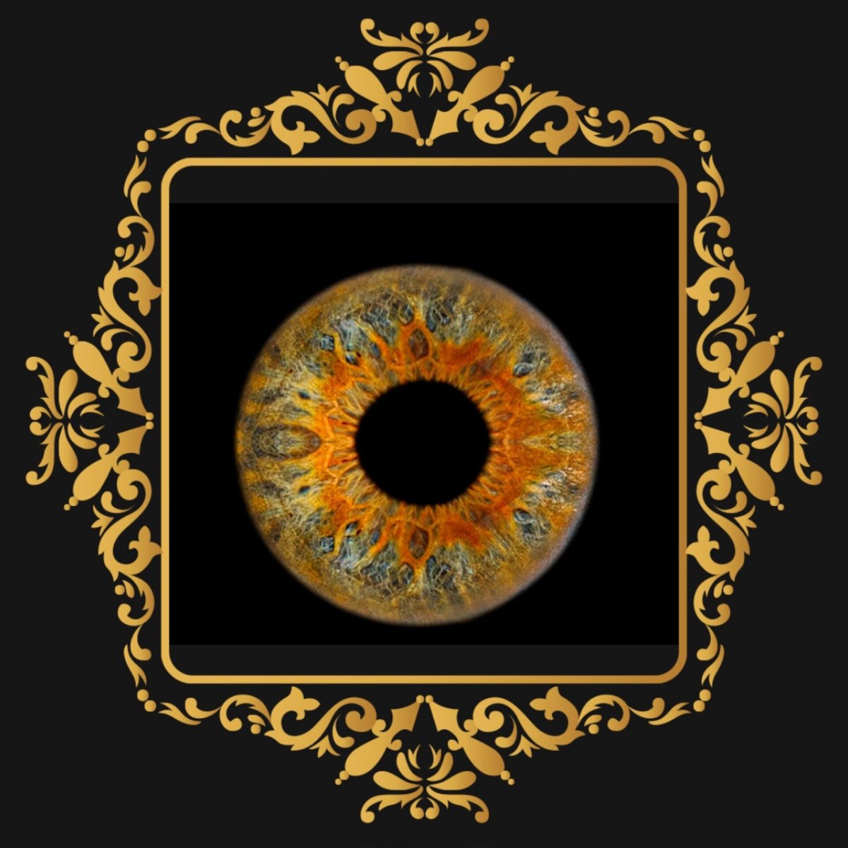 ZSoltani13's tweet photo. The listing date of the Iris collection will be announced https://t.co/AVSzUenyCg