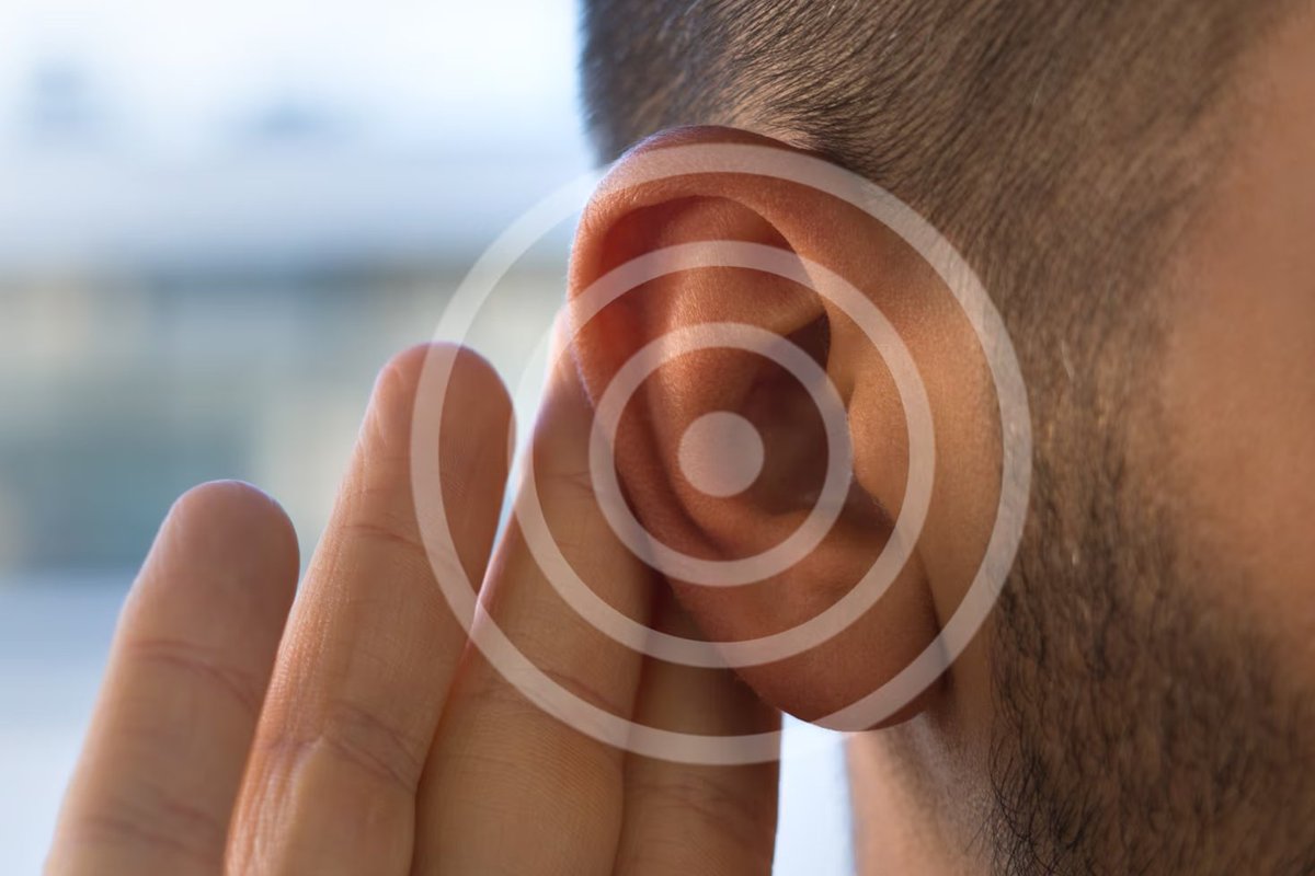 Outdoctrination's tweet image. Ringing in your ears? Read this.

This is all about TINNITUS - how it happens, and what you might be able to do about it: