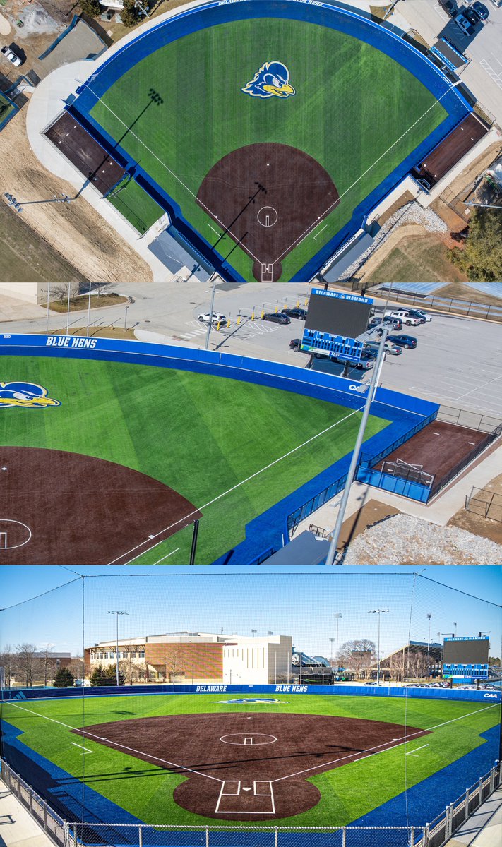 Delaware Softball tweet media