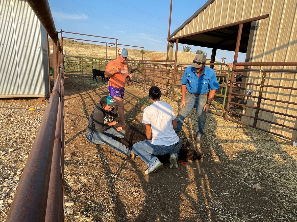 FarmAnswers's tweet image. The University of Wyoming's beginning farmer programming was developed with funding through their USDA NIFA-BFRDP Project. 

Learn more on the most recent episode of the Farm Answers podcast at farmanswers.captivate.fm or by viewing their project report on FarmAnswers.org.