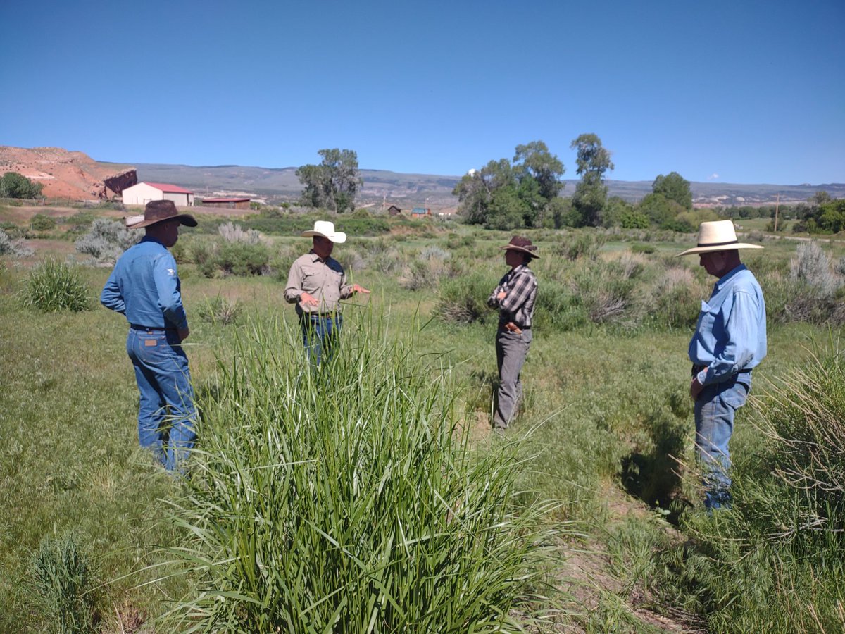 FarmAnswers's tweet image. The University of Wyoming's beginning farmer programming was developed with funding through their USDA NIFA-BFRDP Project. 

Learn more on the most recent episode of the Farm Answers podcast at farmanswers.captivate.fm or by viewing their project report on FarmAnswers.org.