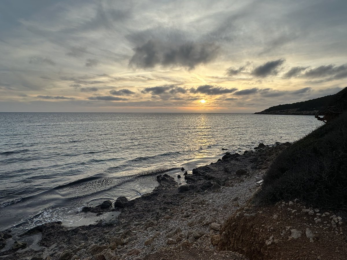 Platja de Sant Adeodat i Binigaus avui capvespre 🌤️