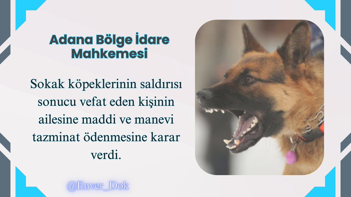 Av. Enver Dok tweet media