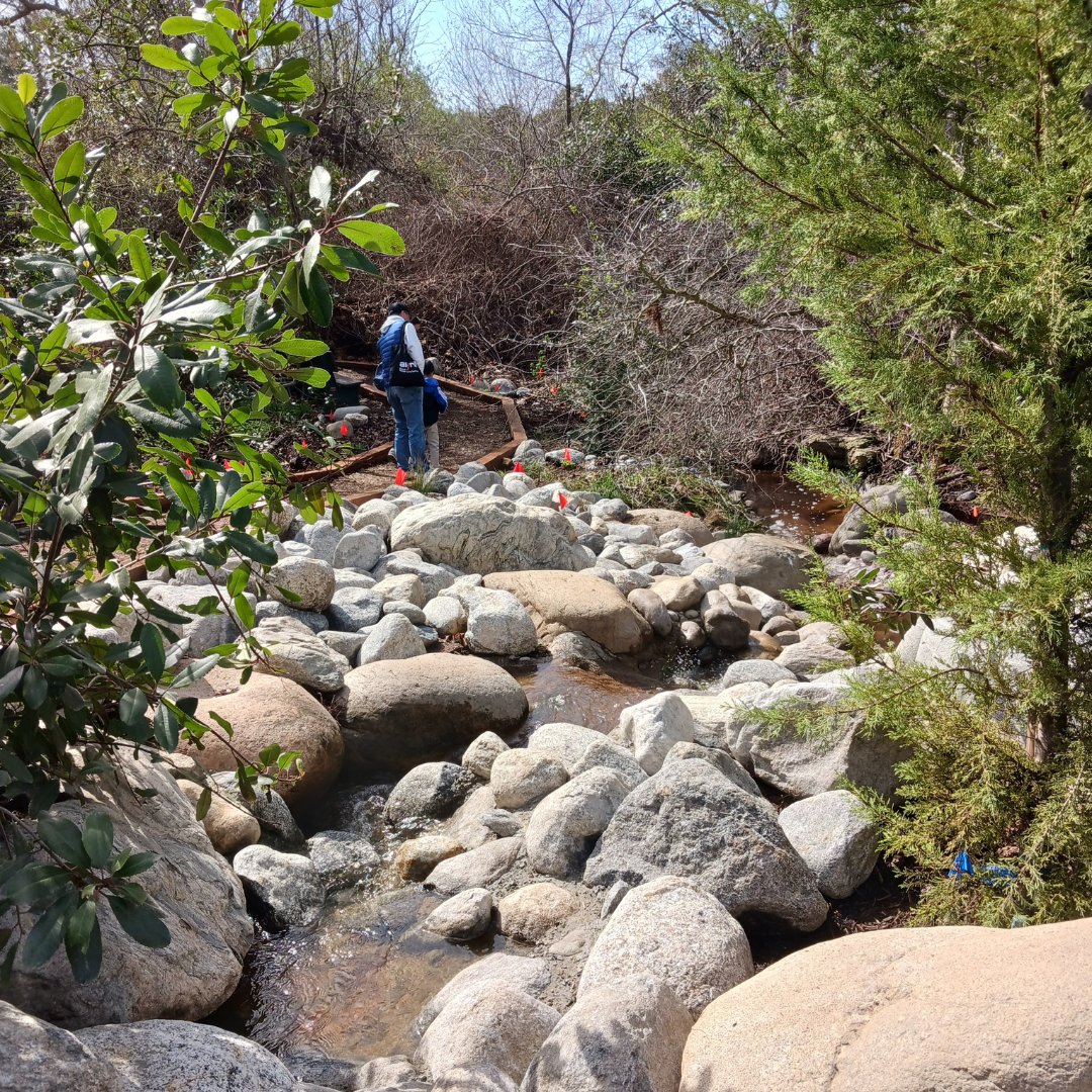 🌿 Restoring ENC’s Natural Spaces! Many of you may have heard about the unexpected vegetation loss along our property line. Thanks to the Massen Greene Foundation, we restored privacy, enhanced trails &amp; improved habitats! Grateful for our community’s support! 💚