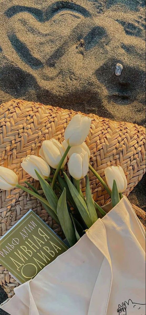 guloonohukla's tweet photo. White tulips https://t.co/w5anrsb7eR