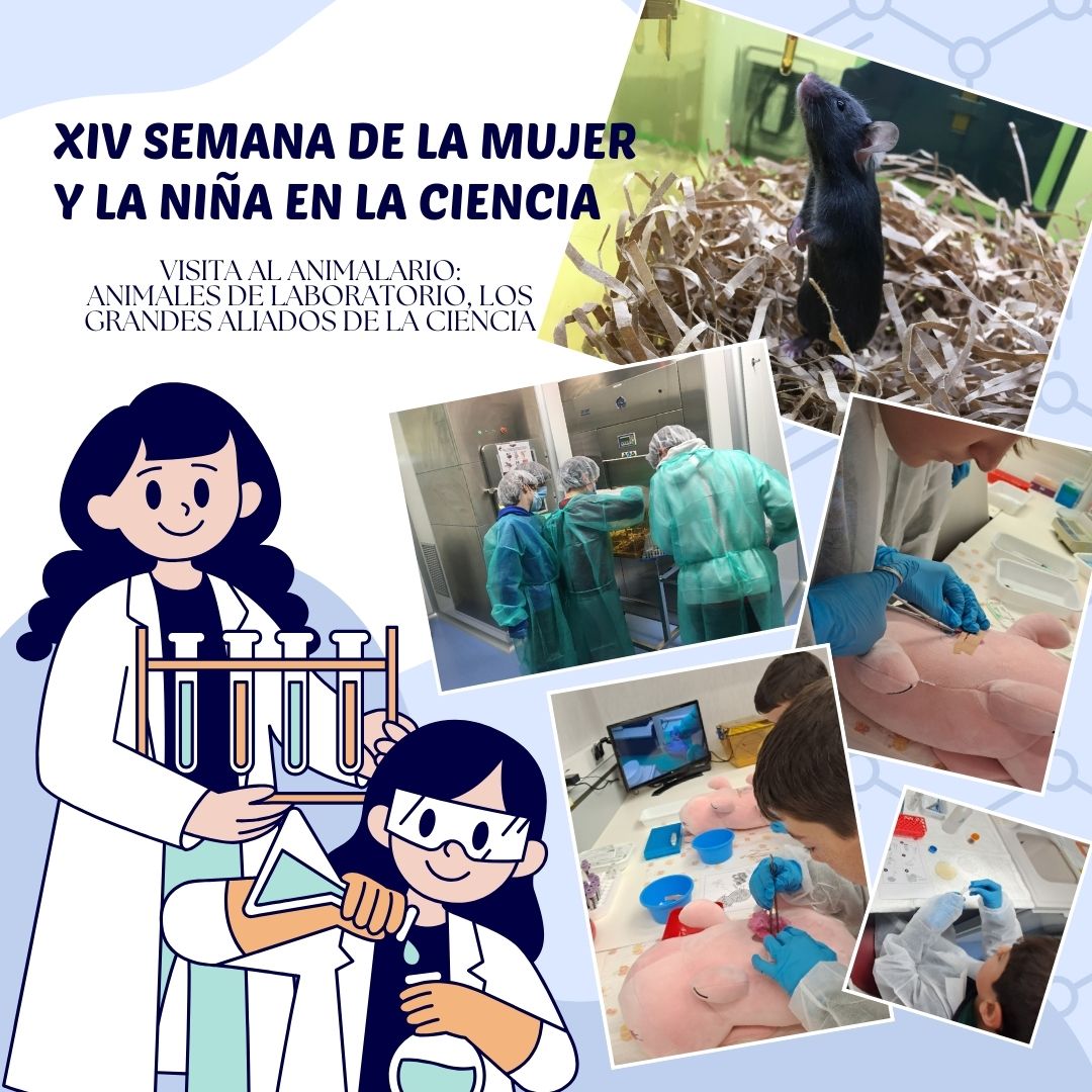 Esta semana nos han visitado futuros científicos para conocer cómo se trabaja en un animalario. Hemos aprendido un montón y han disfrutado. #SemanaMujeryCiencia #MujerYCiencia <a href="/UBUinvestiga/">UBUinvestiga</a> <a href="/LaEstacionBur/">La Estación Burgos</a> <a href="/actualidadUBU/">Actualidad en la UBU</a>