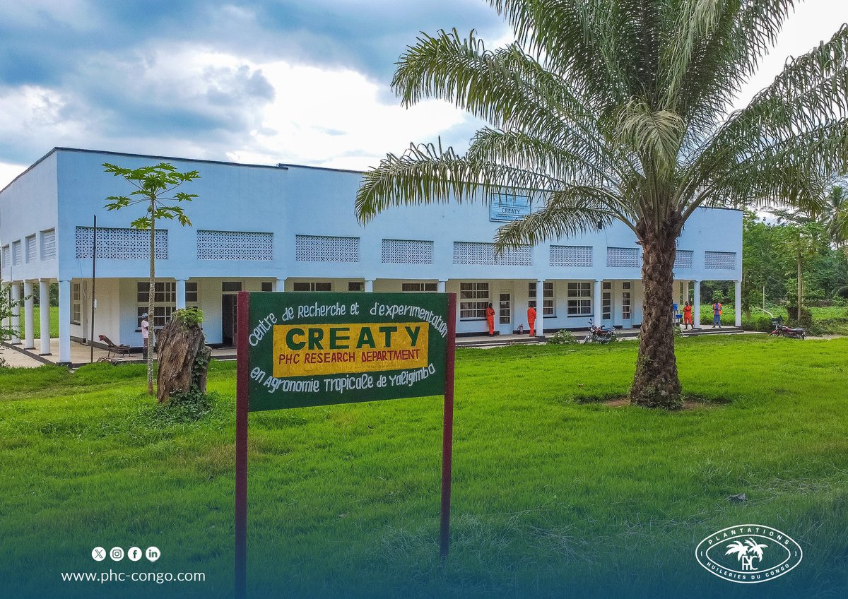 PHC_RDC's tweet photo. #LeSaviezVous ?
Depuis des années, CREATY, notre centre de recherche et d’expérimentation en agronomie tropicale de Yaligimba, se consacre à la production de graines et de semences de haute qualité.
#PHC #CREATY #Agriculture #HuileDePalme