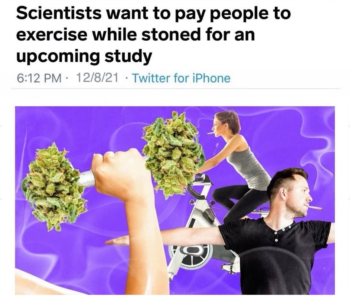 WeedPorns's tweet photo. Sign me up https://t.co/Exe3otynht