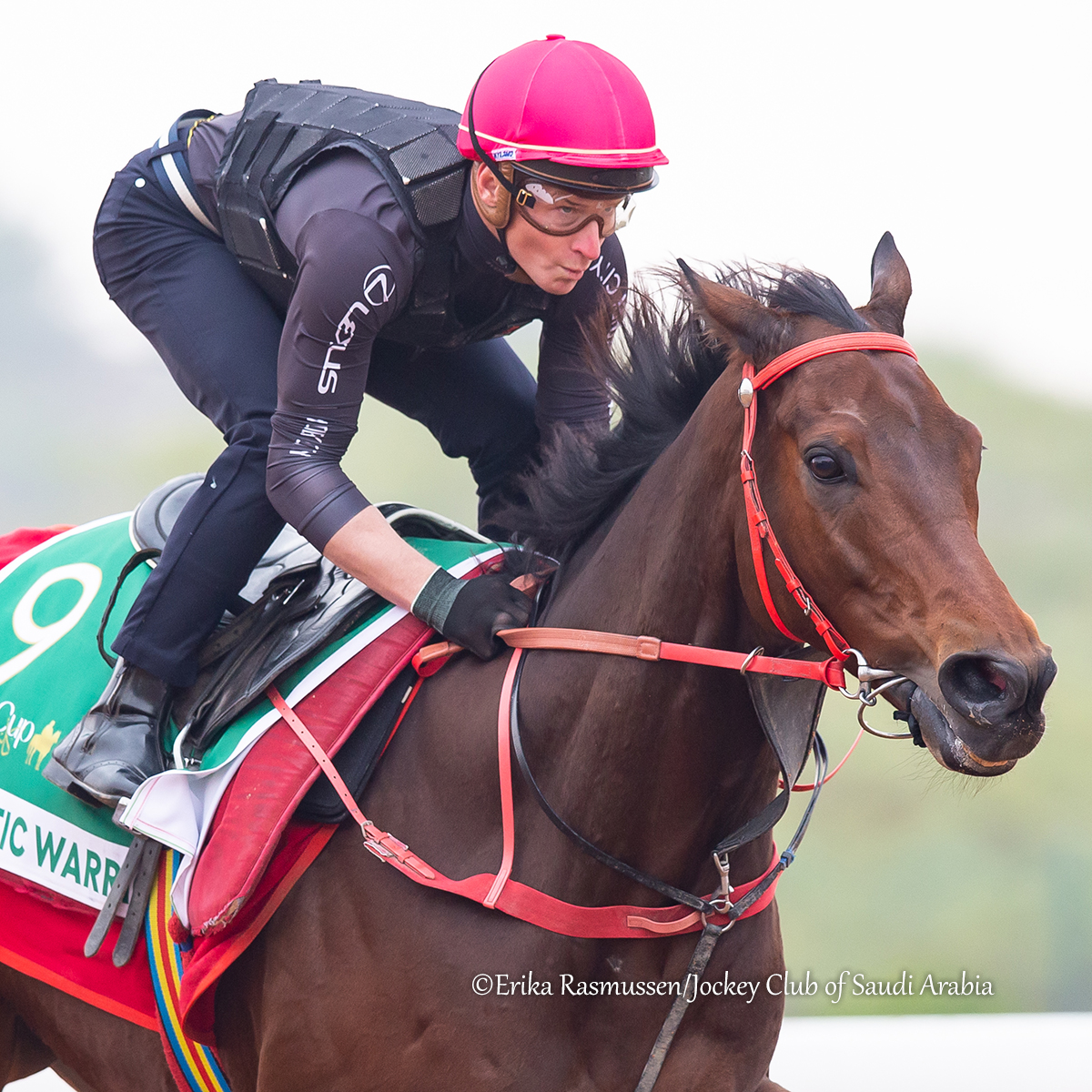 TDN (@thetdn) on Twitter photo 🇭🇰 ROMANTIC WARRIOR (Acclamation), the world's highest-earning racehorse, had his final serious work over the main track at King Abdulaziz Racecourse in Riyadh Tuesday morning ahead of Saturday's G1 <a href="/TheSaudiCup/">The Saudi Cup</a>.
The Hong Kong star, already a ten-time Group 1 winner, will make 🇭🇰 ROMANTIC WARRIOR (Acclamation), the world's highest-earning racehorse, had his final serious work over the main track at King Abdulaziz Racecourse in Riyadh Tuesday morning ahead of Saturday's G1 <a href="/TheSaudiCup/">The Saudi Cup</a>.
The Hong Kong star, already a ten-time Group 1 winner, will make