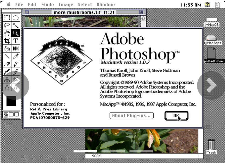 Chana Messer tweet media