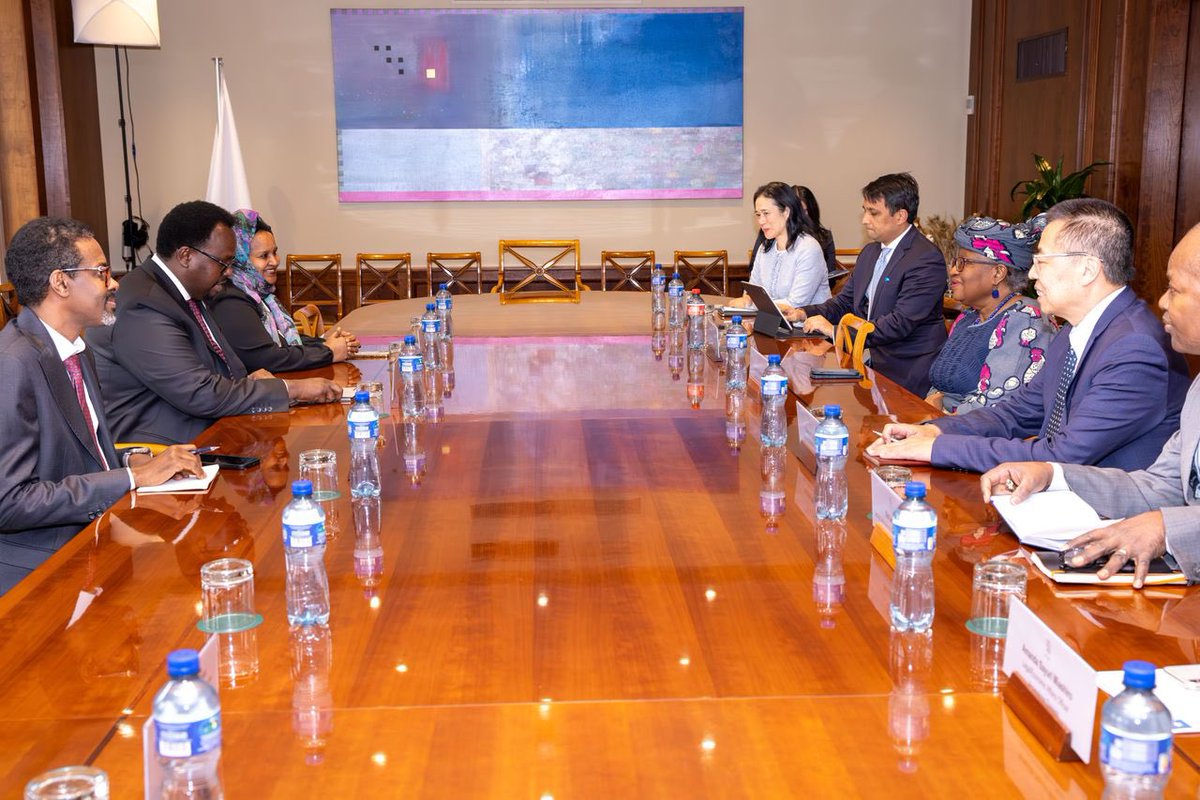 SomaliPM's tweet photo. Today in Geneva, Deputy Prime Minister @SalahJama met with WTO Director-General Dr. Ngozi Okonjo-Iweala, to advance Somalia’s @wto accession process. This significant step underscores Somalia’s commitment to integrating into the global trading system. Dr. Okonjo-Iweala pledged technical support to facilitate Somalia’s membership journey.