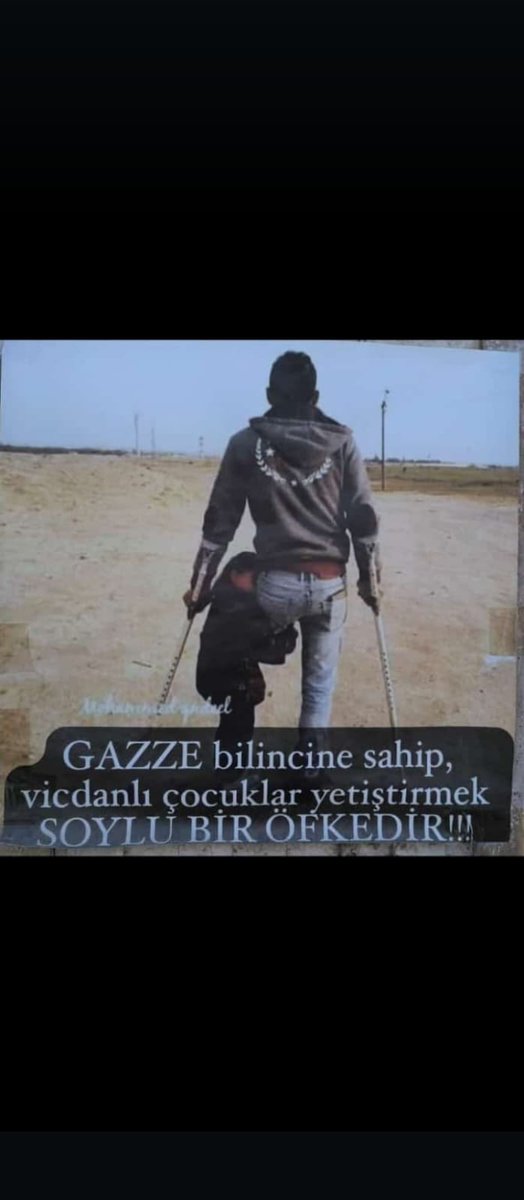 Reiscibedis's tweet image. #GazaNeedsNoRelocation