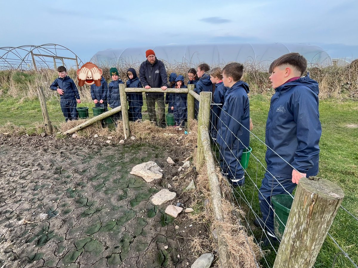 Wick Marcross (@wickps) on Twitter photo We have some very happy pigs and piglets now we have fed them! <a href="/Treginnis_FFCC/">Lower Treginnis - Farms for City Children</a> We have some very happy pigs and piglets now we have fed them! <a href="/Treginnis_FFCC/">Lower Treginnis - Farms for City Children</a>