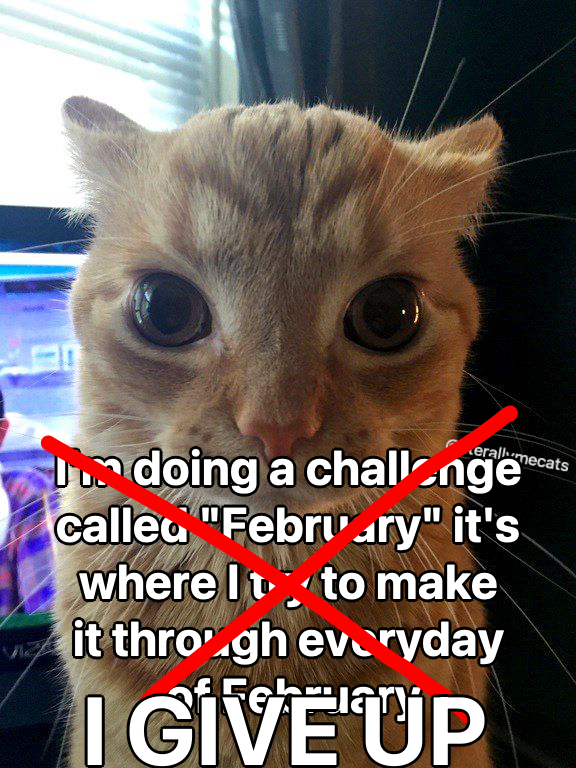 literallymecats's tweet photo. https://t.co/GcC9NRp7e9