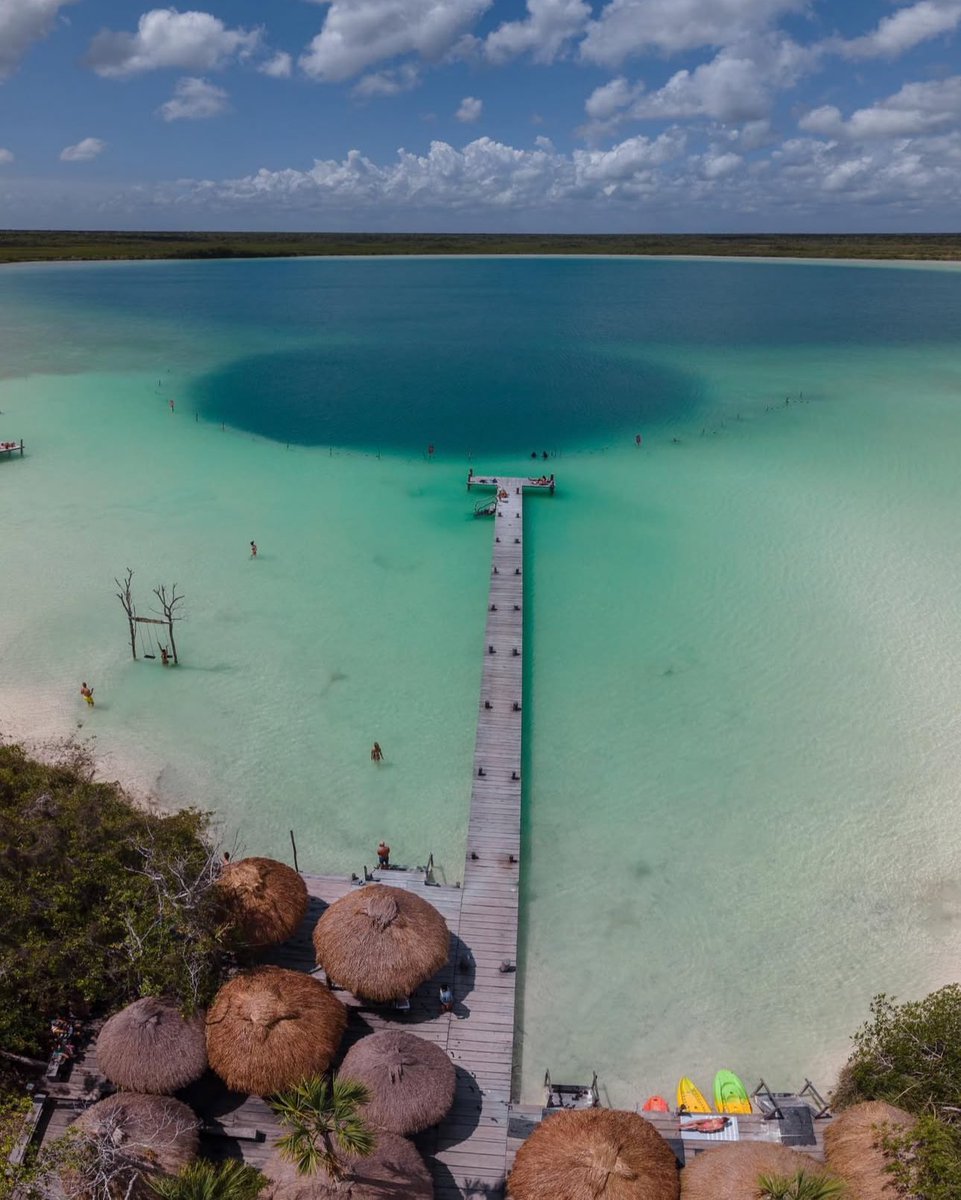 Un paraíso escondido a solo 15 min de Tulum. 💚💦 La Laguna Kaan Luum es un espectáculo de tonos turquesa con un cenote profundo en el centro. ¿Te atreves a descubrirla? <a href="/robpalazuelos/">Roberto Palazuelos</a>  #Tulum #KaanLuum
