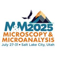 Microscopy and Microanalysis extended the abstract deadline to today so you still have time to submit! Don't forget! See you Salt Lake City.
mmconference.microscopy.org