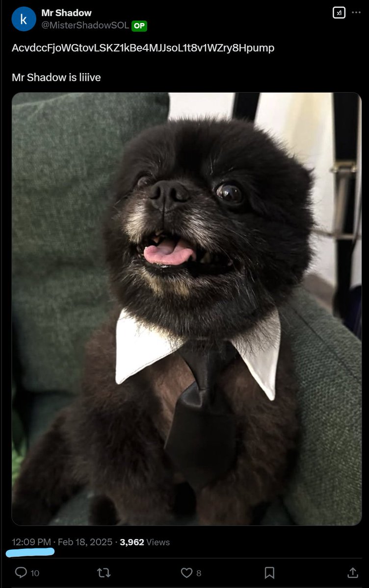 spyflips's tweet photo. Just when you thought we were done with farms, Bybit Intern decided to come out and farm

A random pumpfun coin launches and tweets out a photo of that dog, 10 minutes later Bybit tweets the photo, and THEN even reply's to the projects twitter 

Also not to mention, it's a coincidence that the Dev bought 73% and dispersed it to hundreds of wallets and those wallets are actively selling.

Genuinely so curious if I'm missing something obvious that explains it because this just doesn't make sense