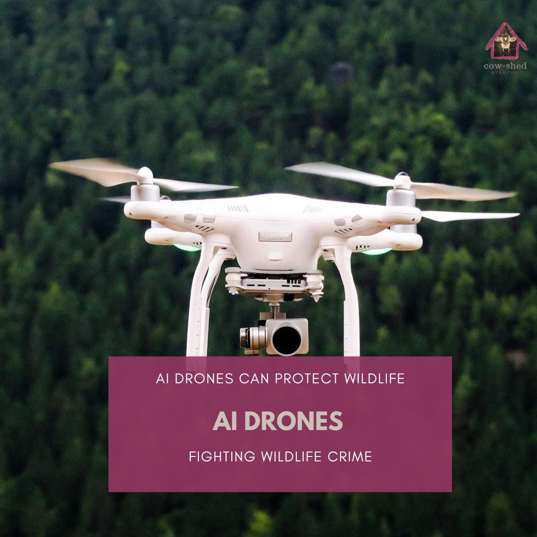 cowshedstartup's tweet photo. In our investigations into how AI can help combat wildlife crime, we have been particularly impressed by drones with AI surveillance systems which can detect threats and alerts rangers in real time.  

Read more in our latest article https://t.co/o3vWIxvHZQ