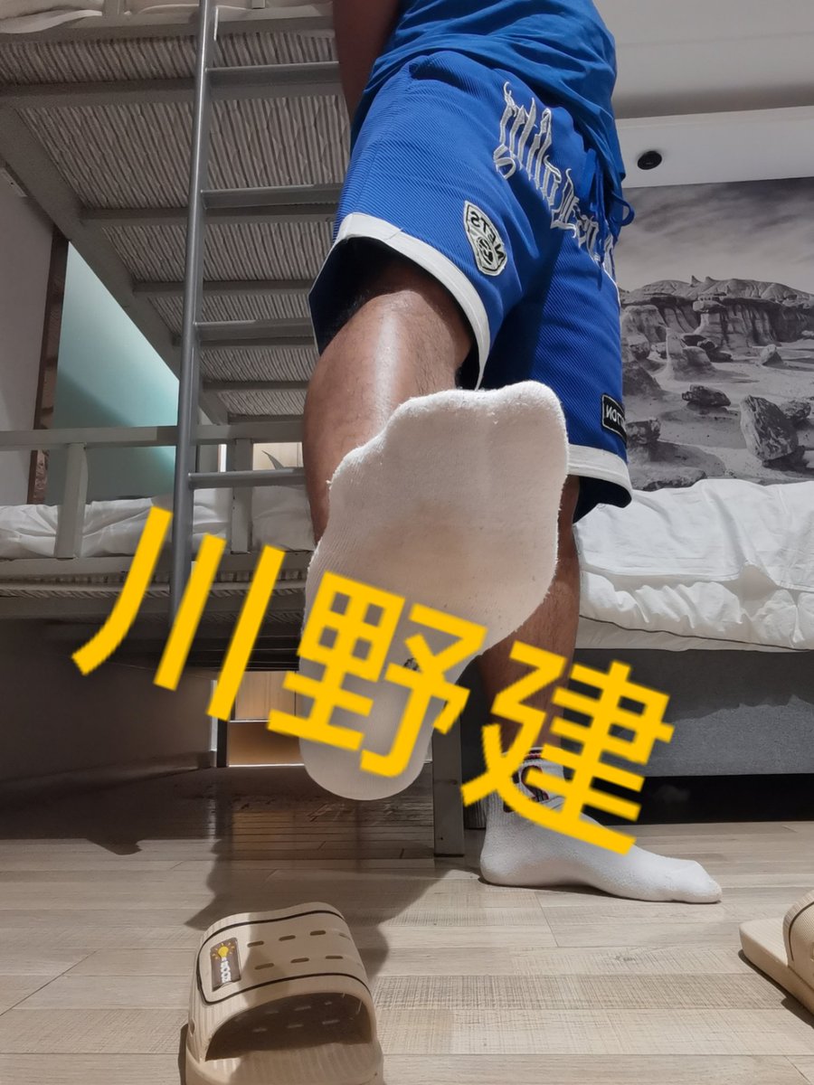 川野建 tweet media