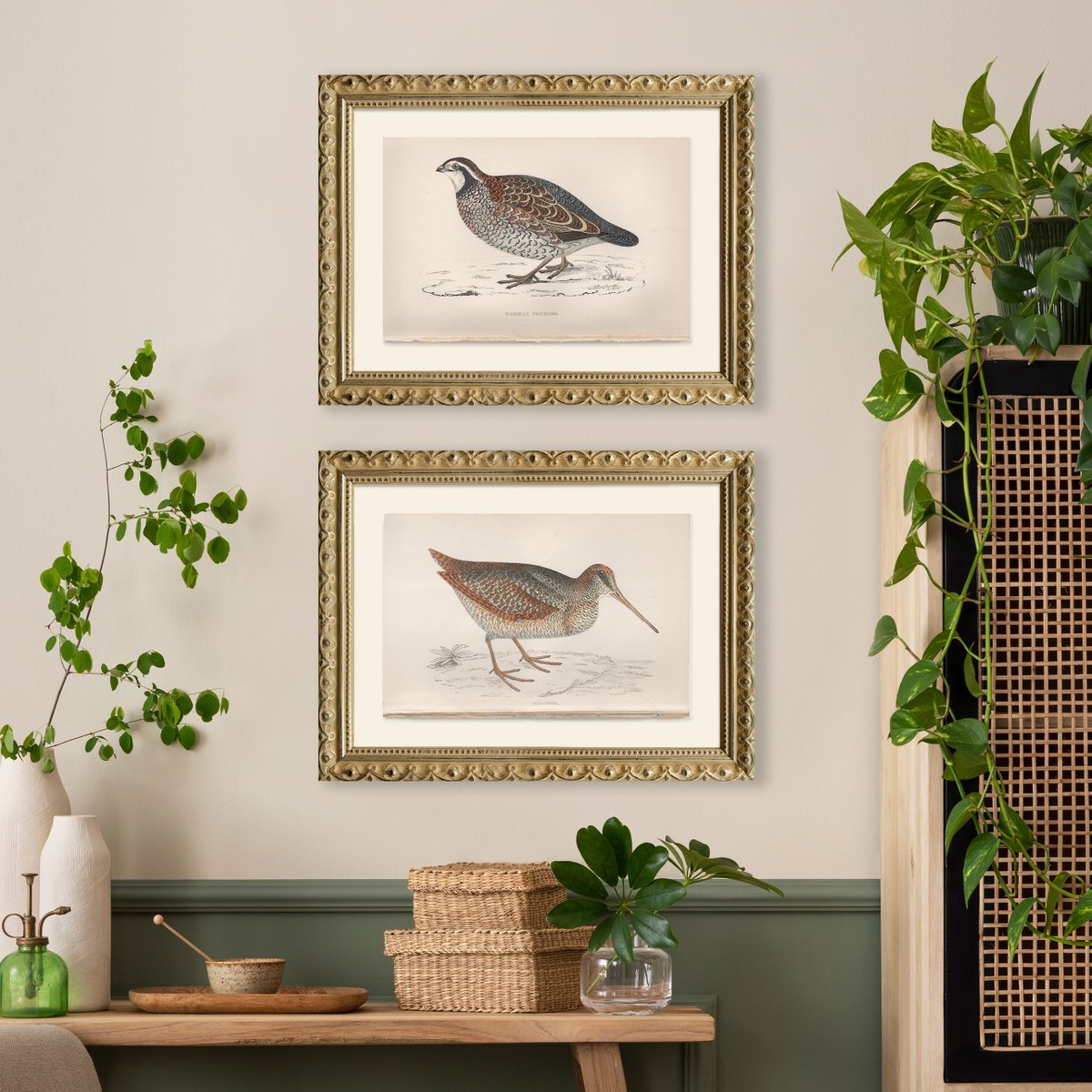 madebykim's tweet photo. Feathered elegance for your walls. These vintage bird prints aren’t just unique decor—they’re a glimpse into the artistry of natural history, framed to perfection. A touch of the wild, a dash of the classic, and the perfect way to bring nature indoors. 

#VintageBirdArt https://t.co/37QQNqbP9G